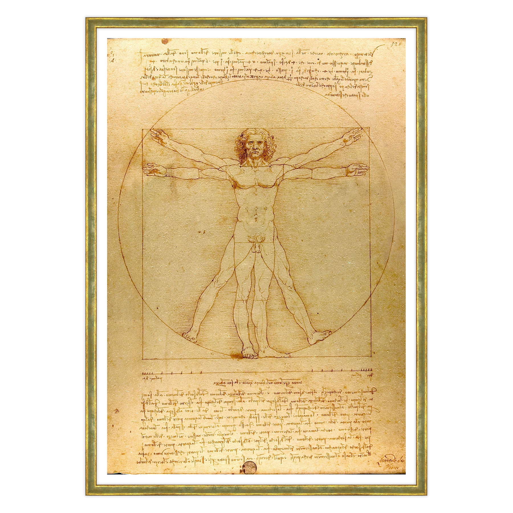 Leonardo Da Vinci - L'Uomo vitruviano