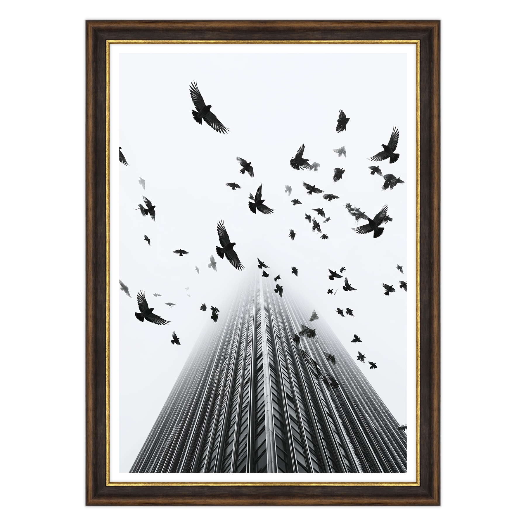 Fotografia in Bianco e Nero - In Fuga da Wall Street