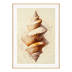 Geometrie del Guscio