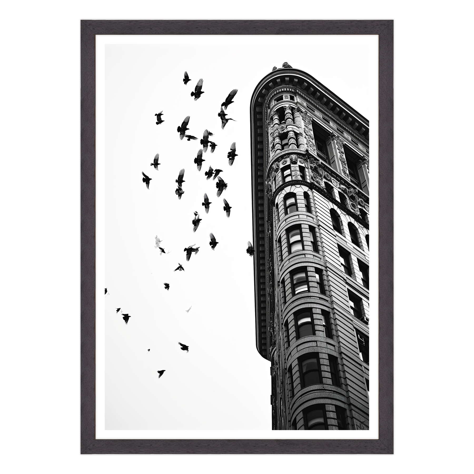 Fotografia in Bianco e Nero - Melodia di Pietra e Piuma