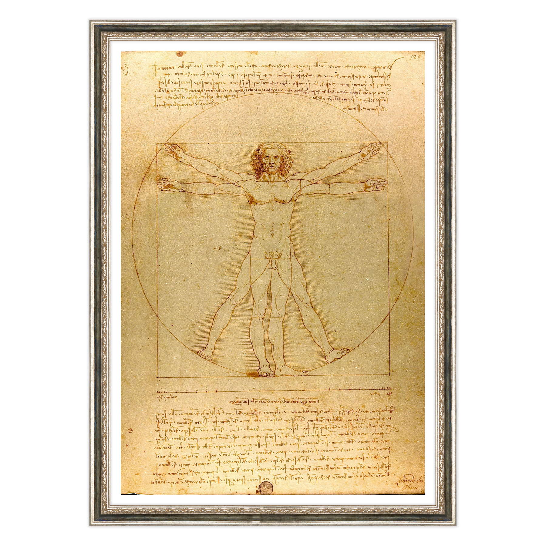 Leonardo Da Vinci - L'Uomo vitruviano