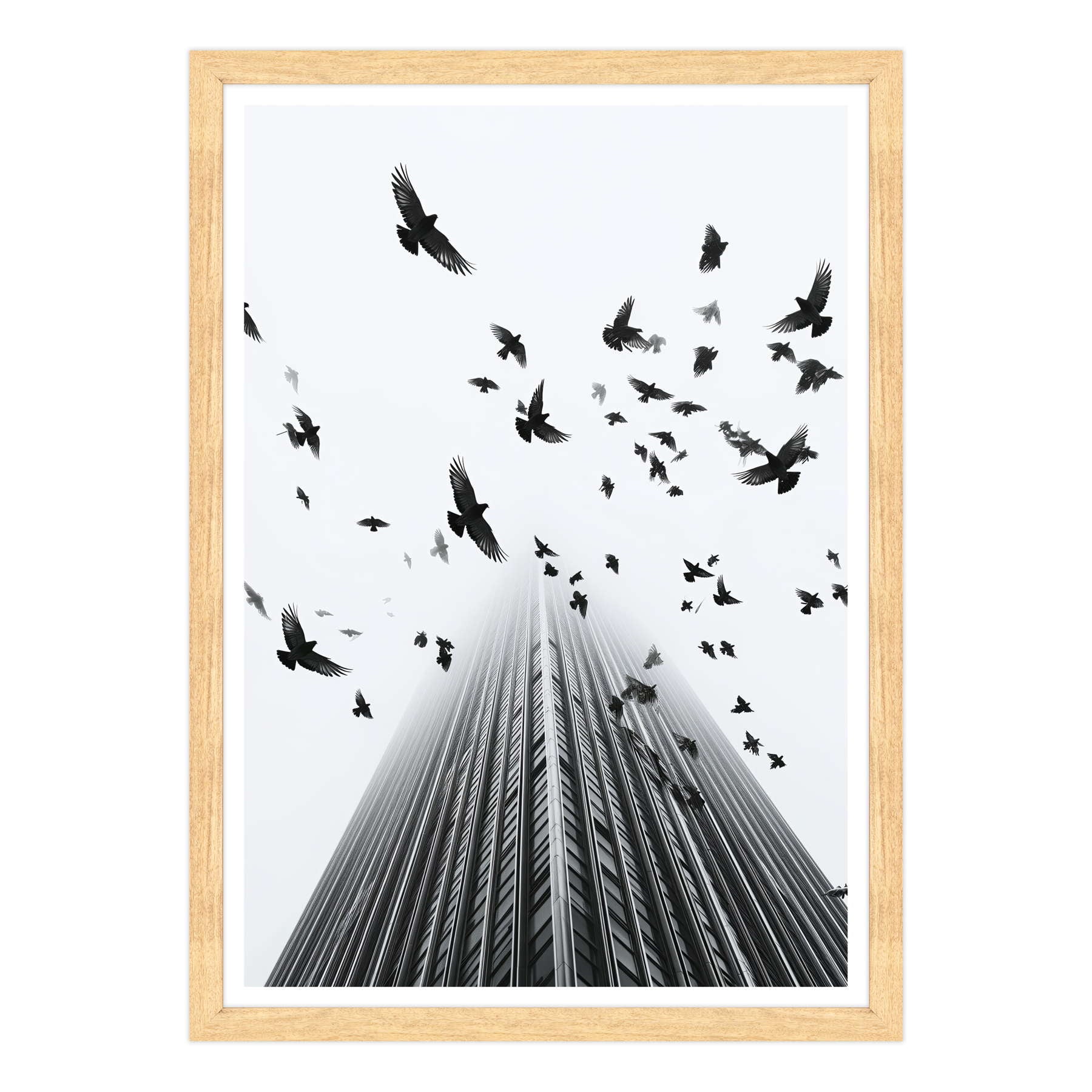 Fotografia in Bianco e Nero - In Fuga da Wall Street