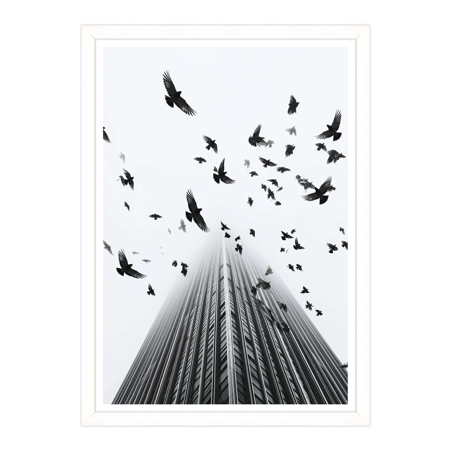 Fotografia in Bianco e Nero - In Fuga da Wall Street