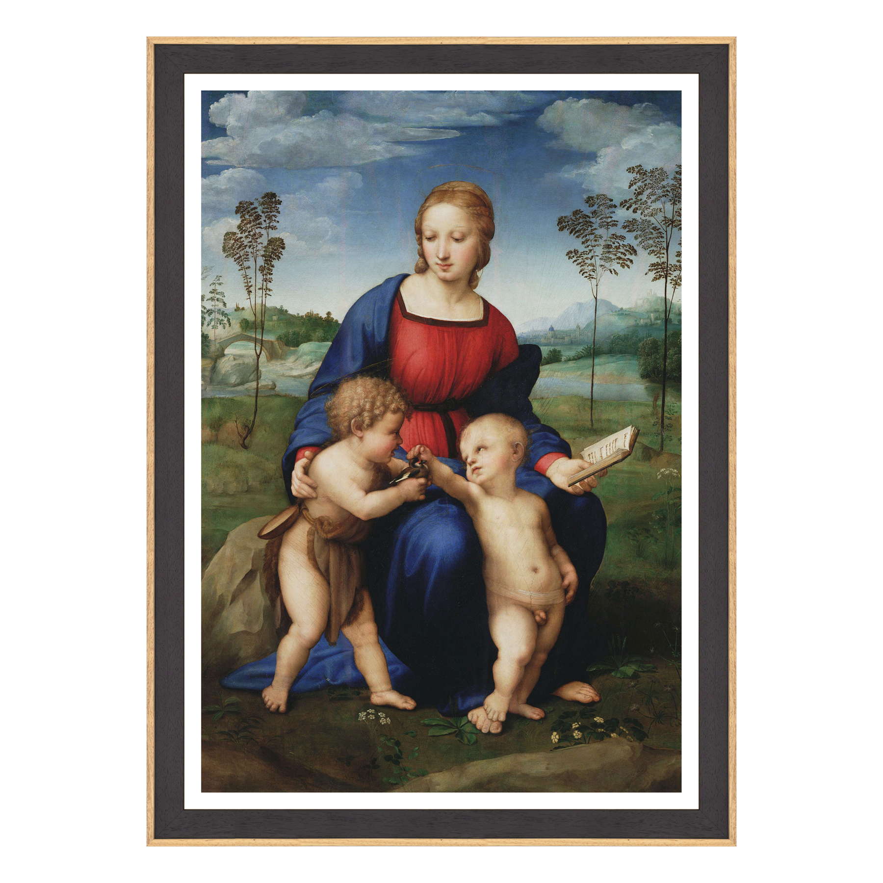 Raffaello Sanzio - Madonna del Cardellino