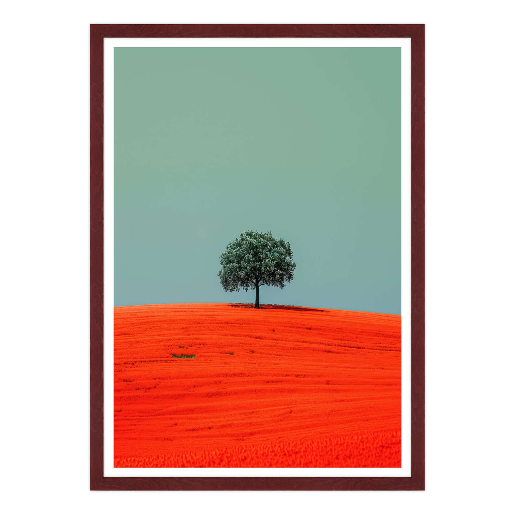 Armonia Contrastante