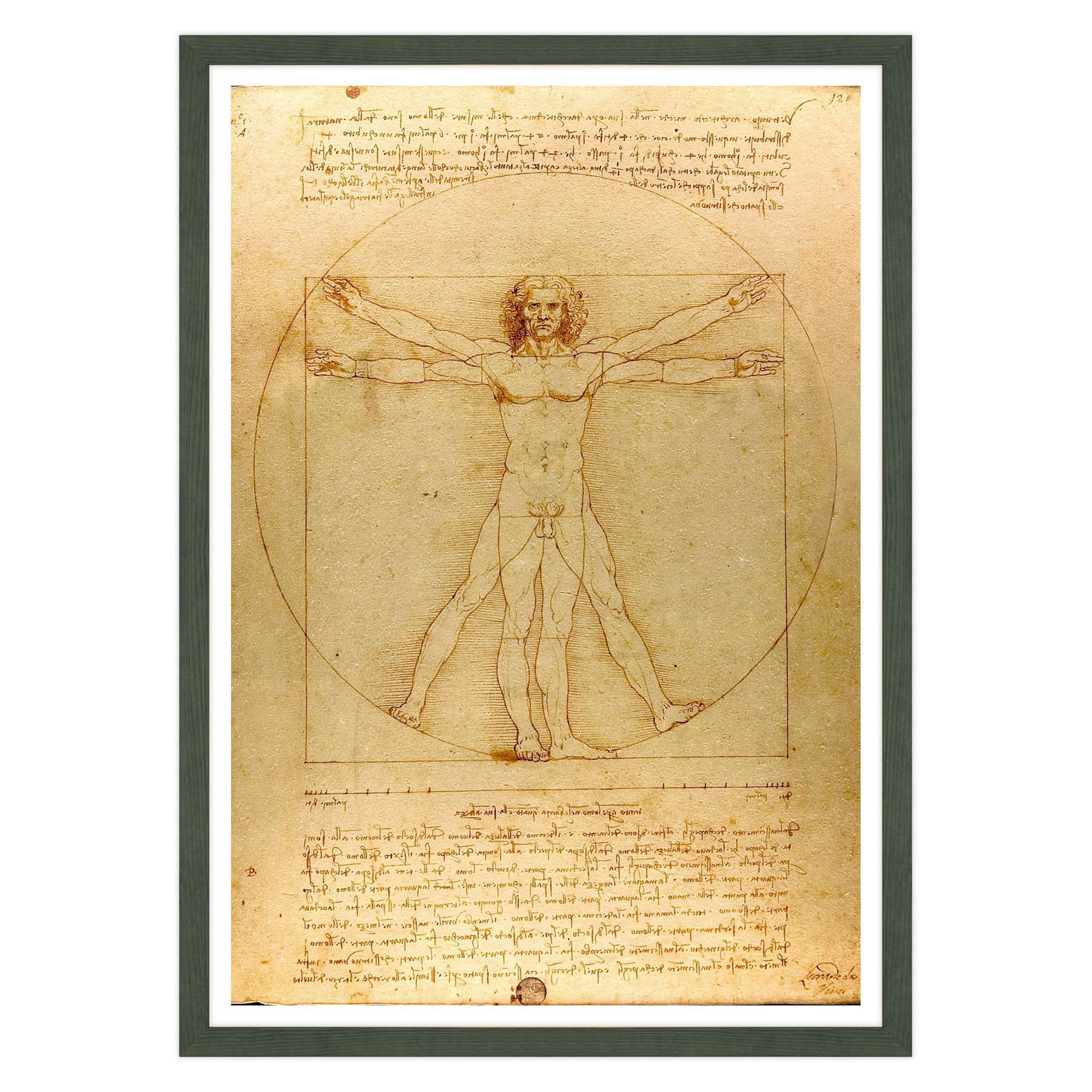 Leonardo Da Vinci - L'Uomo vitruviano