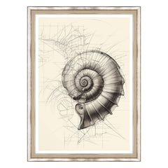Echi di Fibonacci
