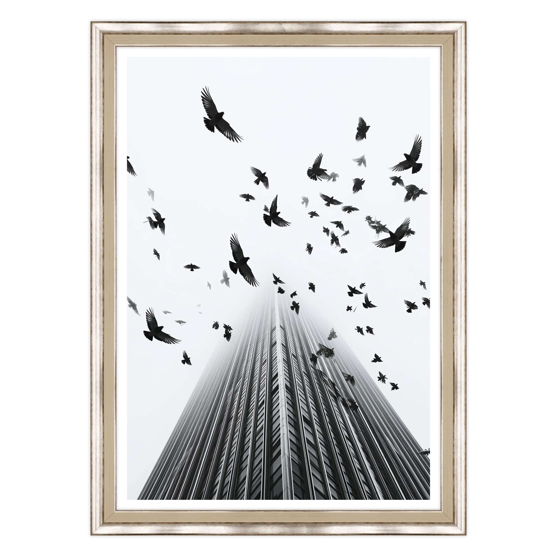 Fotografia in Bianco e Nero - In Fuga da Wall Street