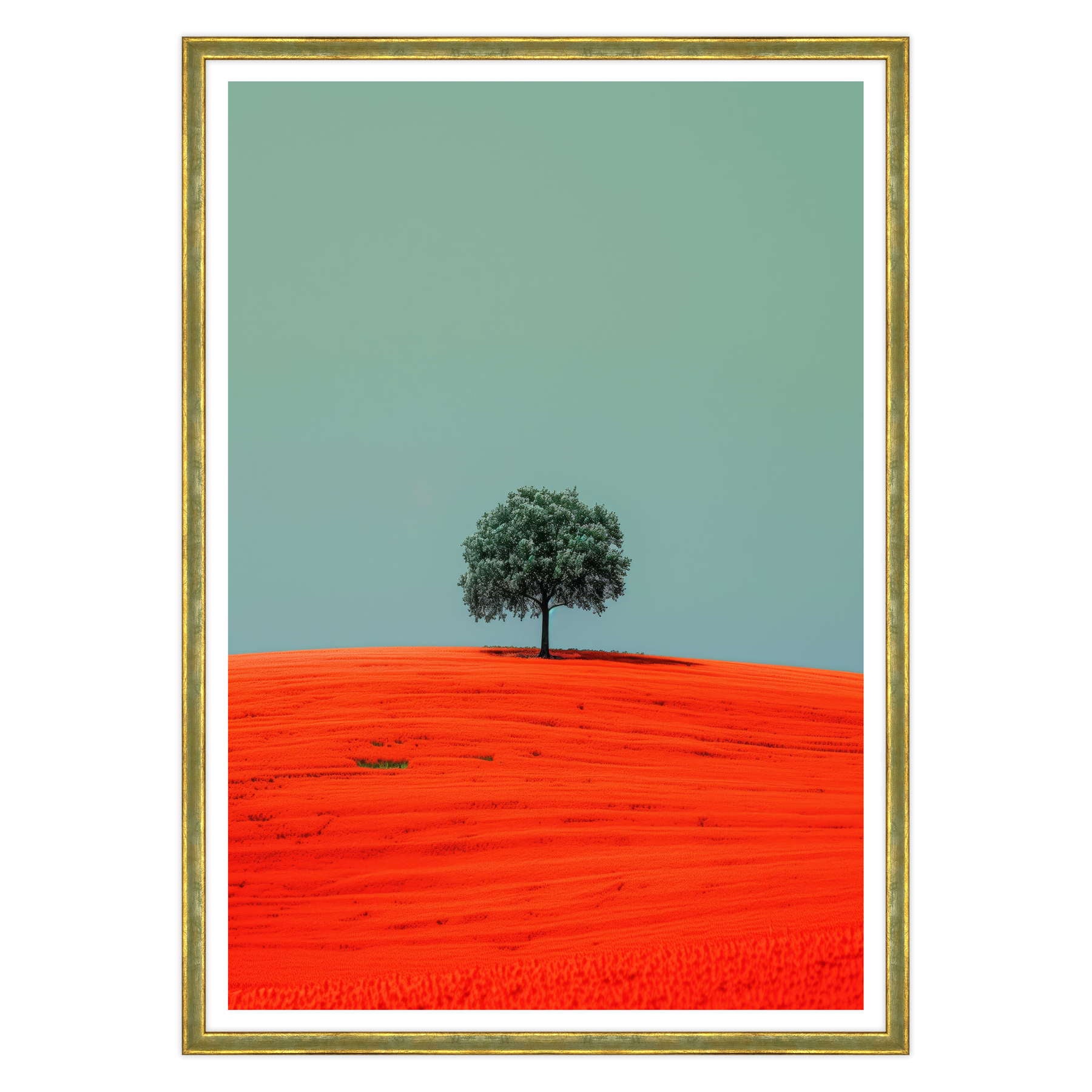 Armonia Contrastante
