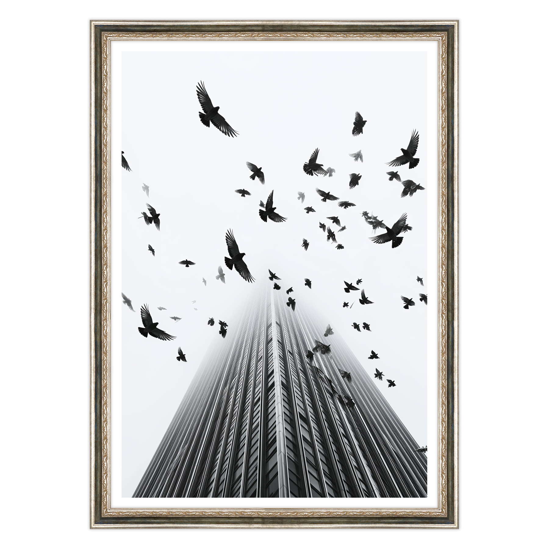 Fotografia in Bianco e Nero - In Fuga da Wall Street