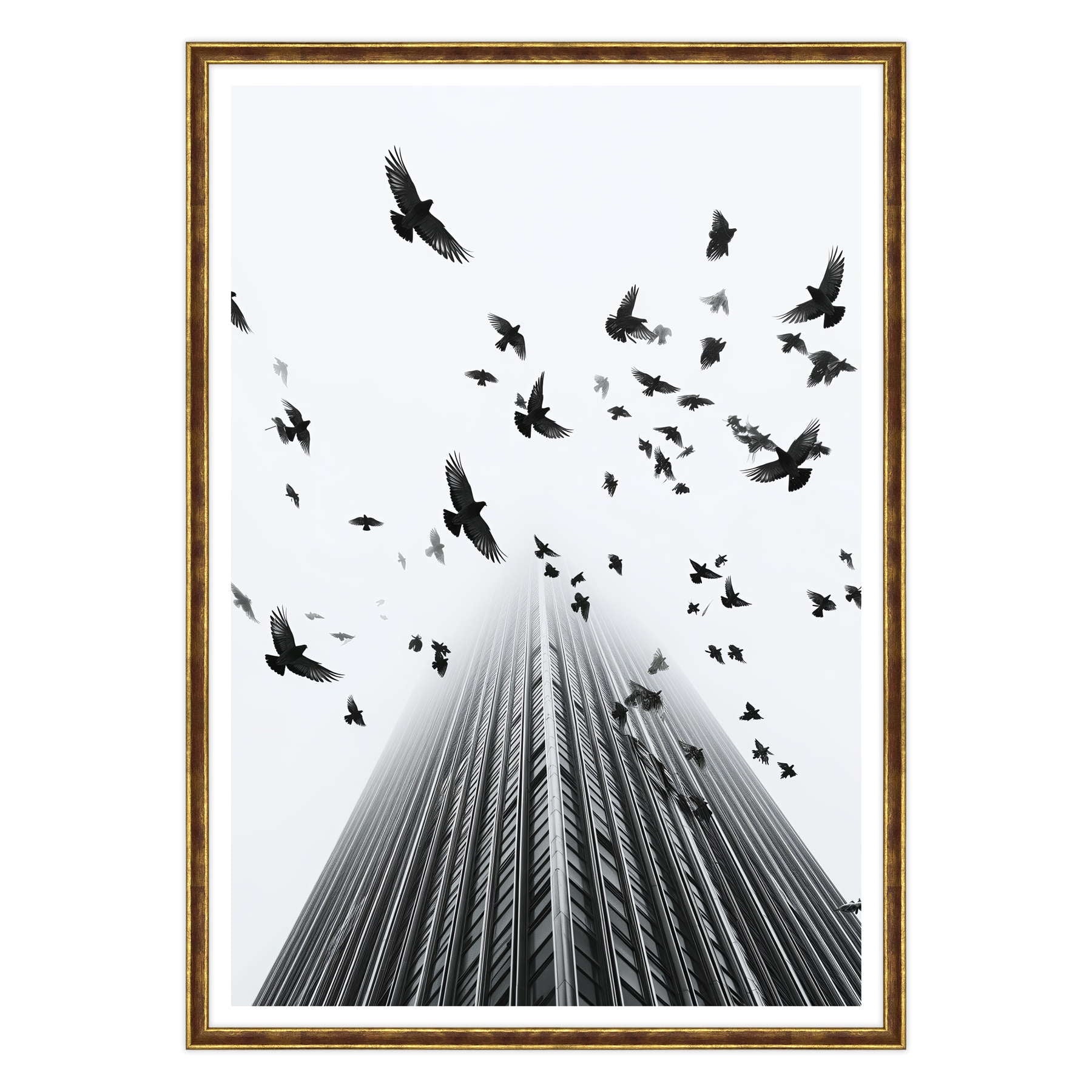 Fotografia in Bianco e Nero - In Fuga da Wall Street