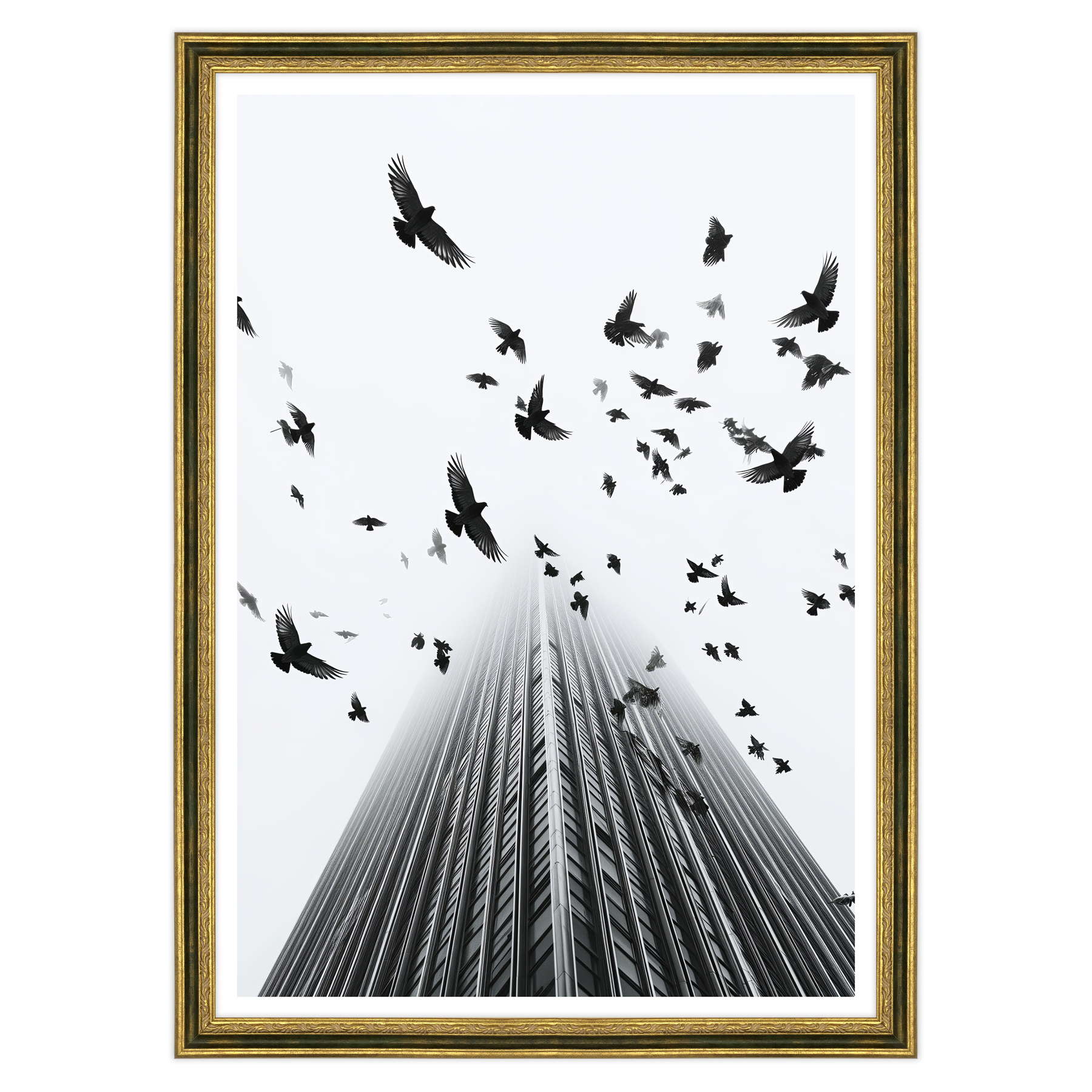 Fotografia in Bianco e Nero - In Fuga da Wall Street