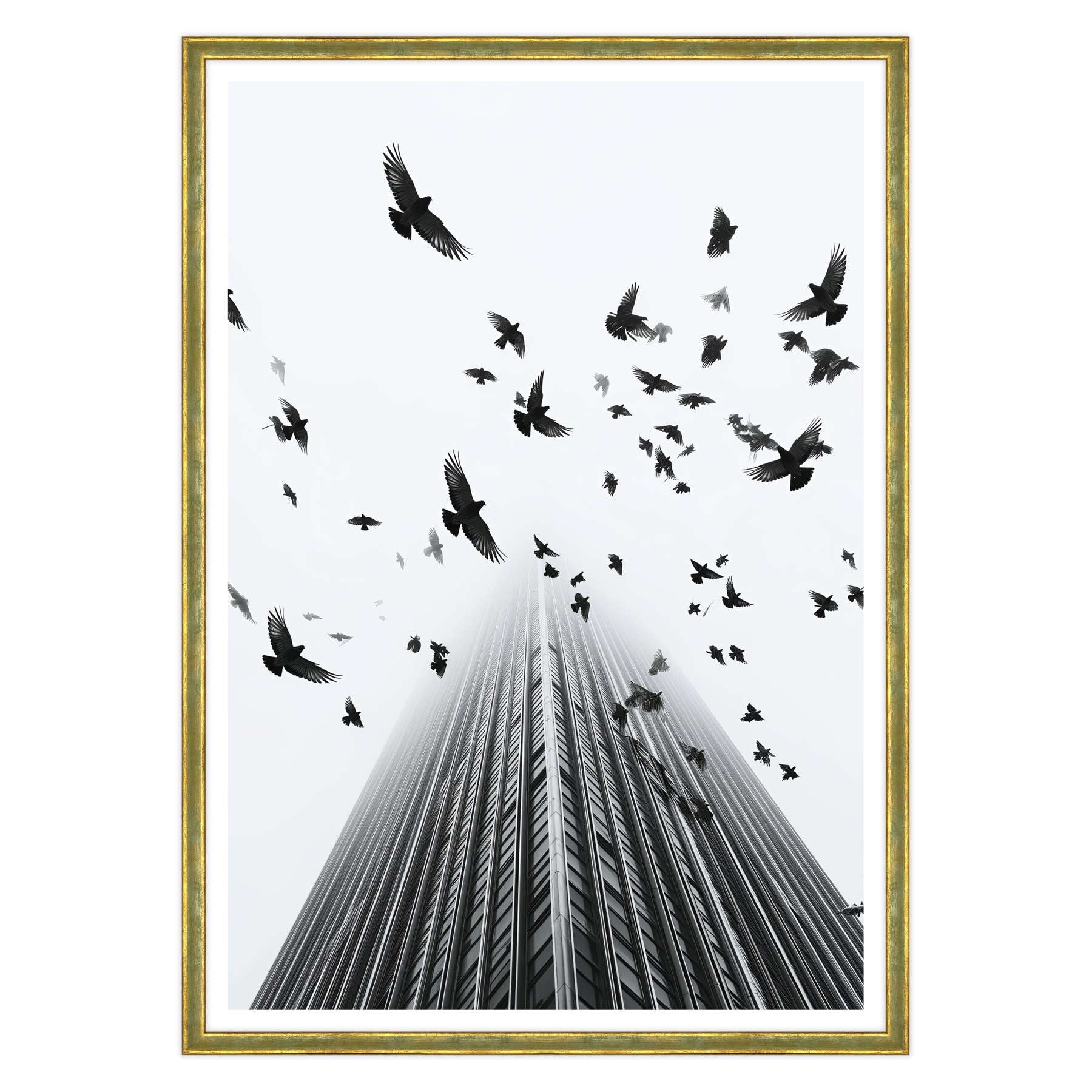 Fotografia in Bianco e Nero - In Fuga da Wall Street