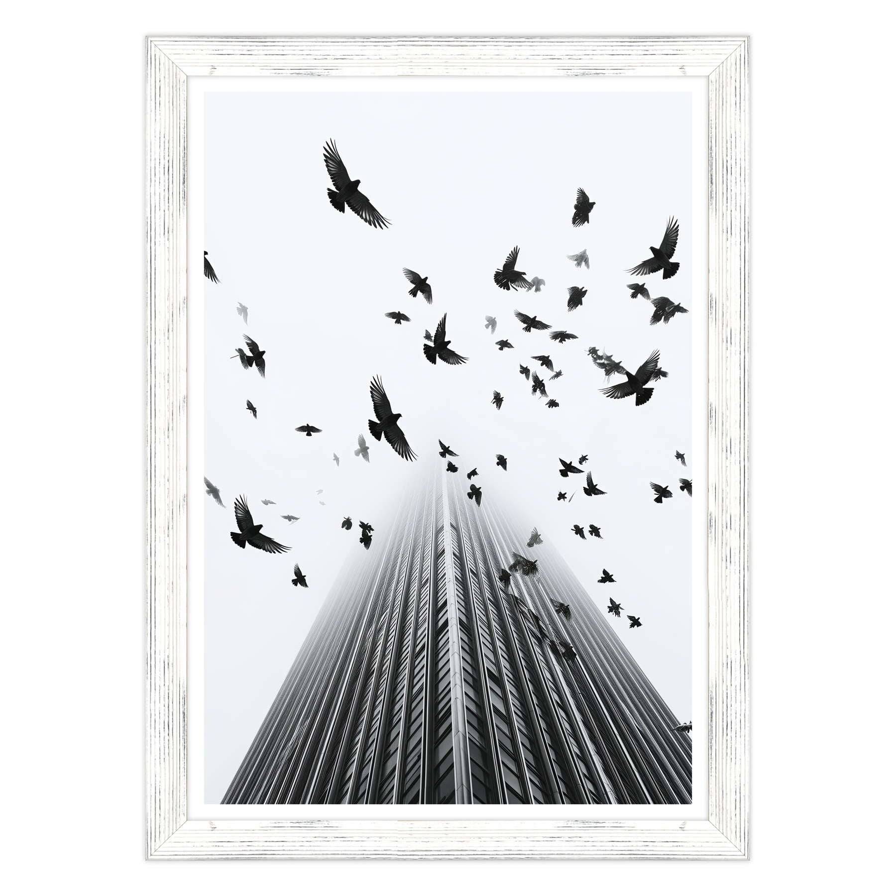 Fotografia in Bianco e Nero - In Fuga da Wall Street