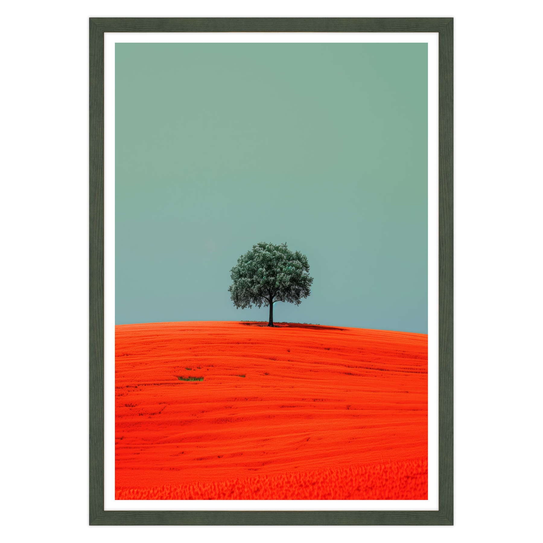 Armonia Contrastante