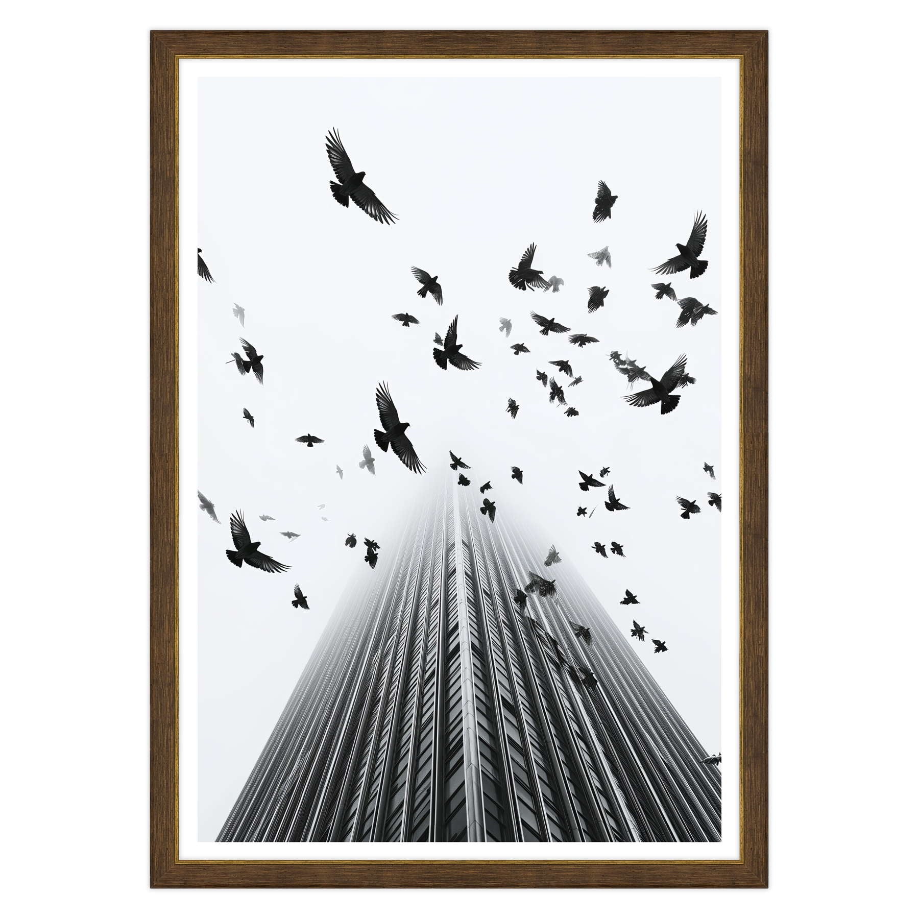 Fotografia in Bianco e Nero - In Fuga da Wall Street