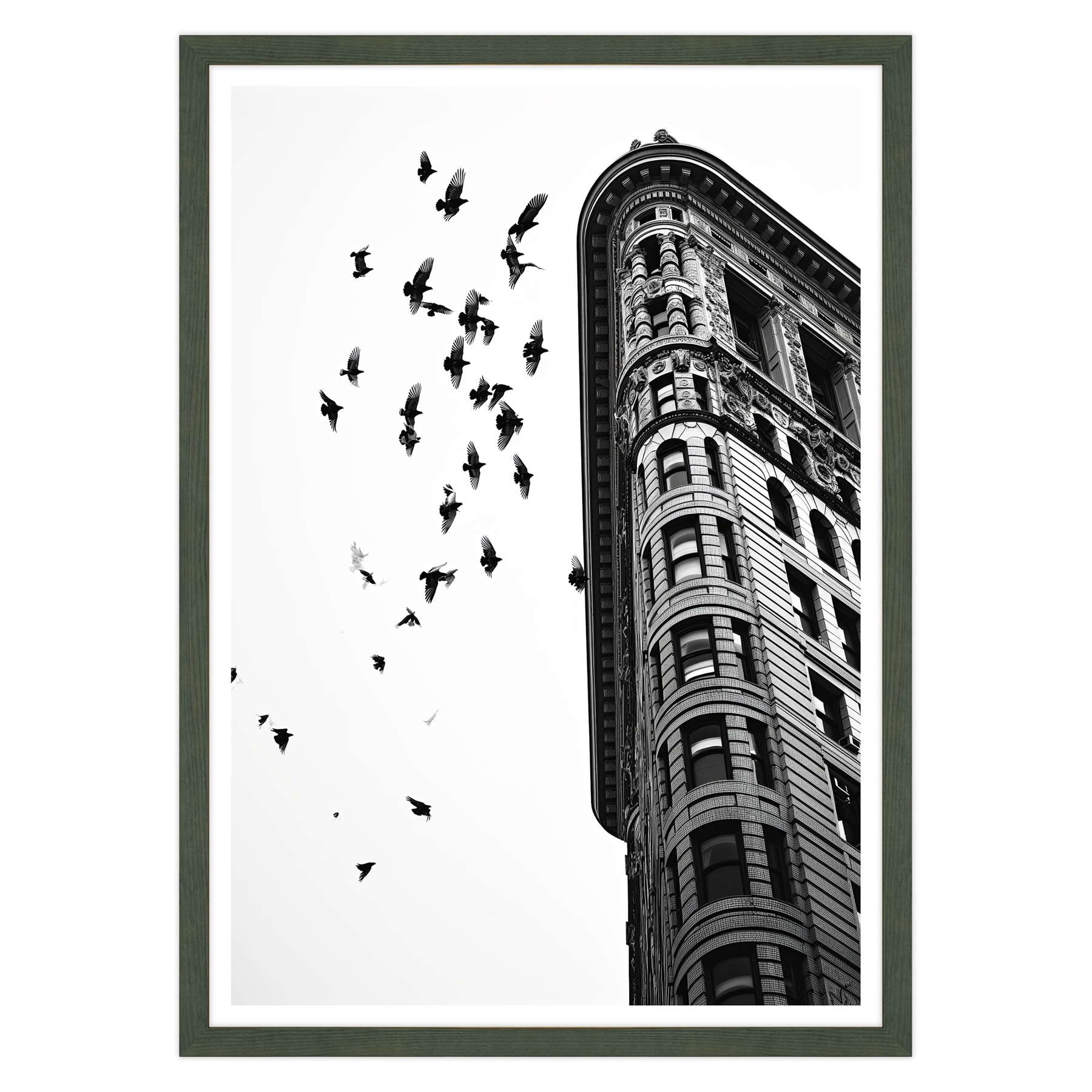 Fotografia in Bianco e Nero - Melodia di Pietra e Piuma