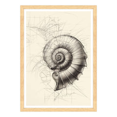 Echi di Fibonacci