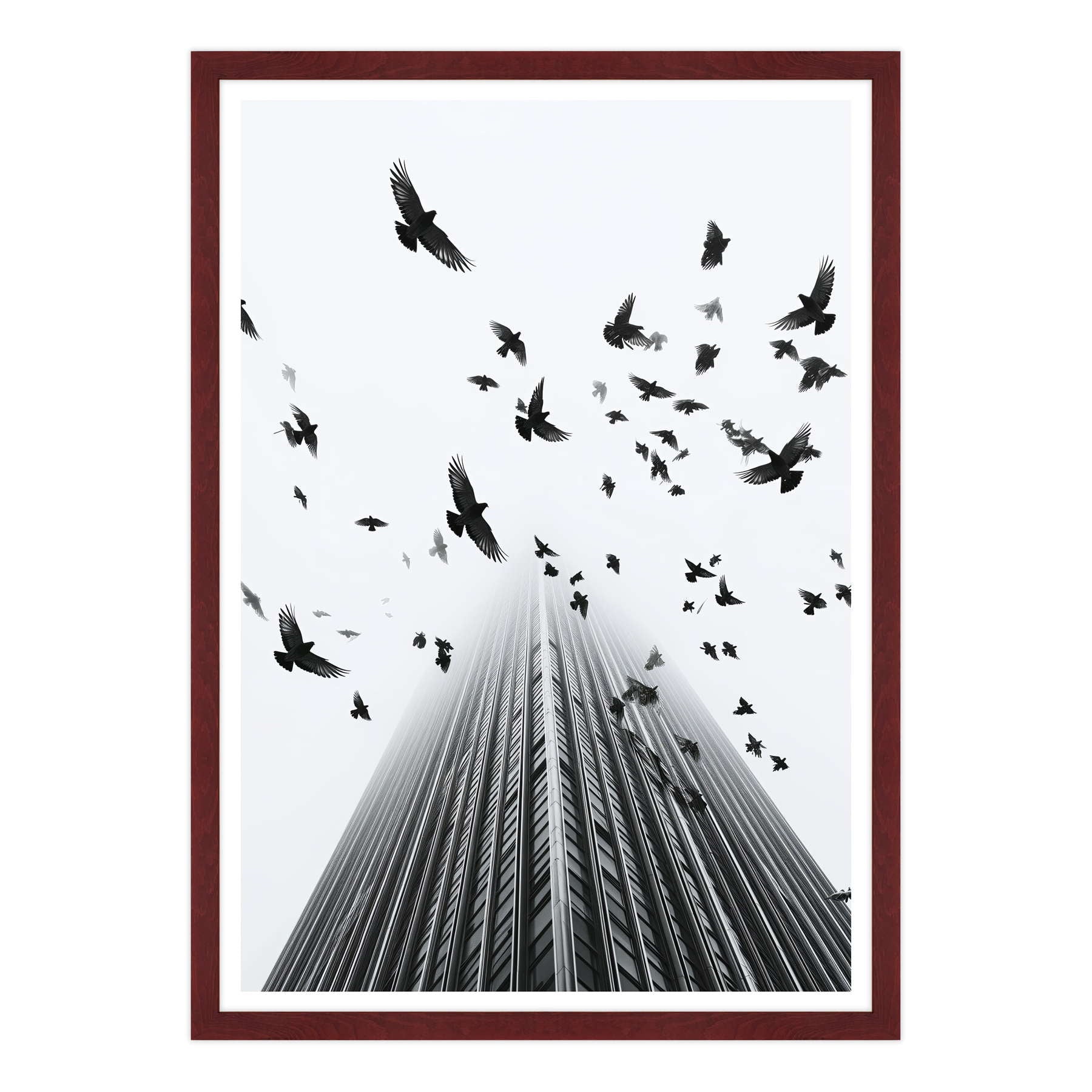 Fotografia in Bianco e Nero - In Fuga da Wall Street