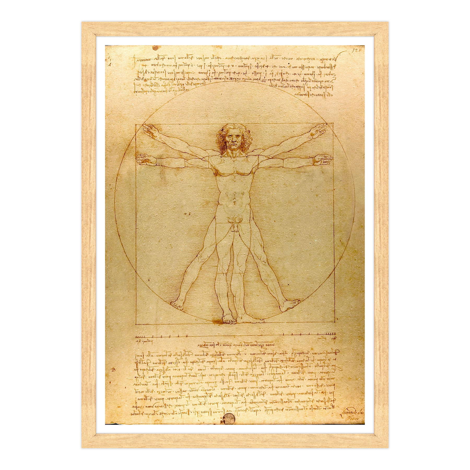 Leonardo Da Vinci - L'Uomo vitruviano