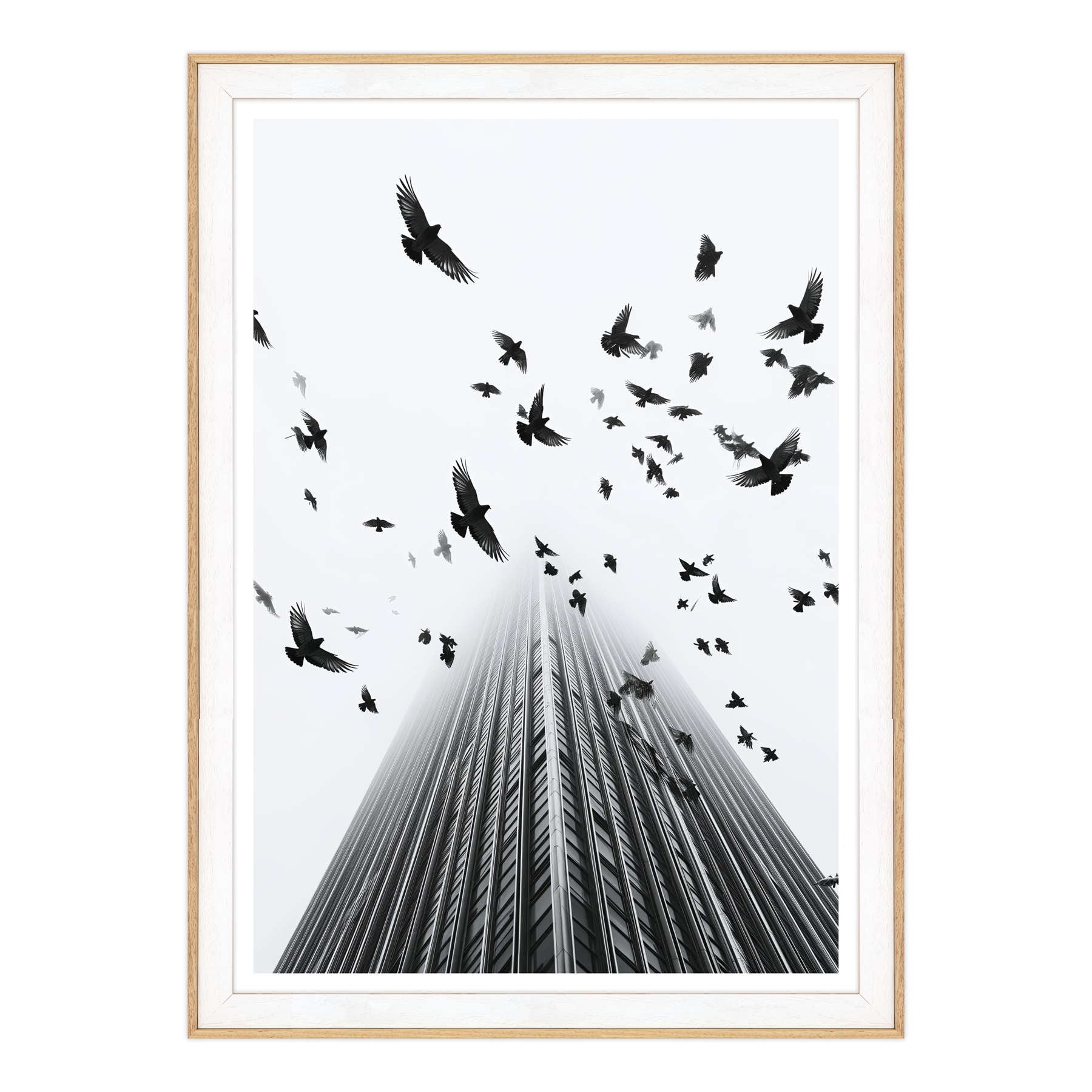 Fotografia in Bianco e Nero - In Fuga da Wall Street