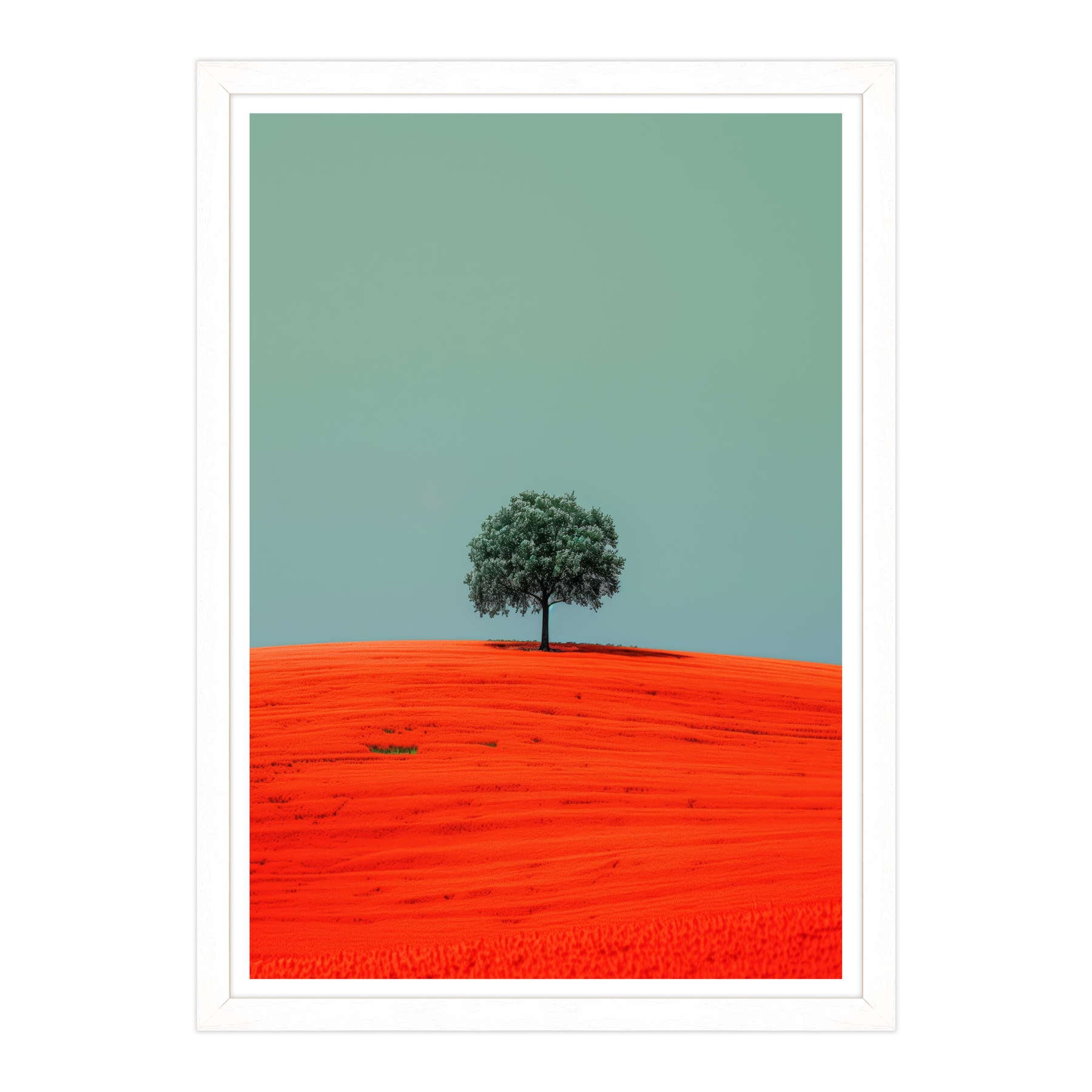 Armonia Contrastante
