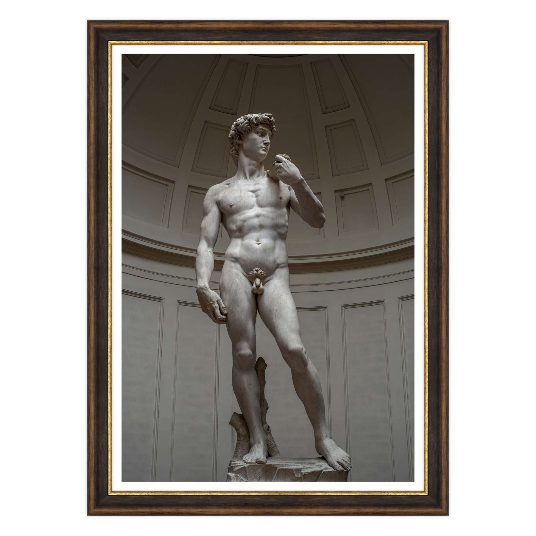 Michelangelo - David
