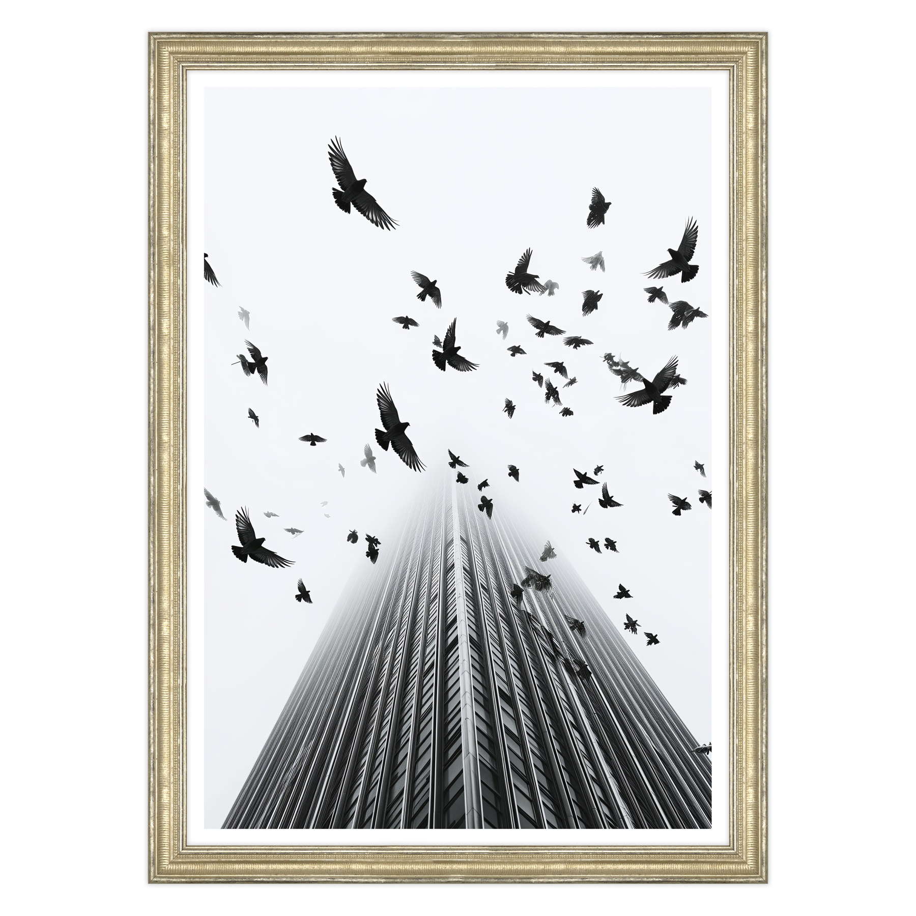 Fotografia in Bianco e Nero - In Fuga da Wall Street