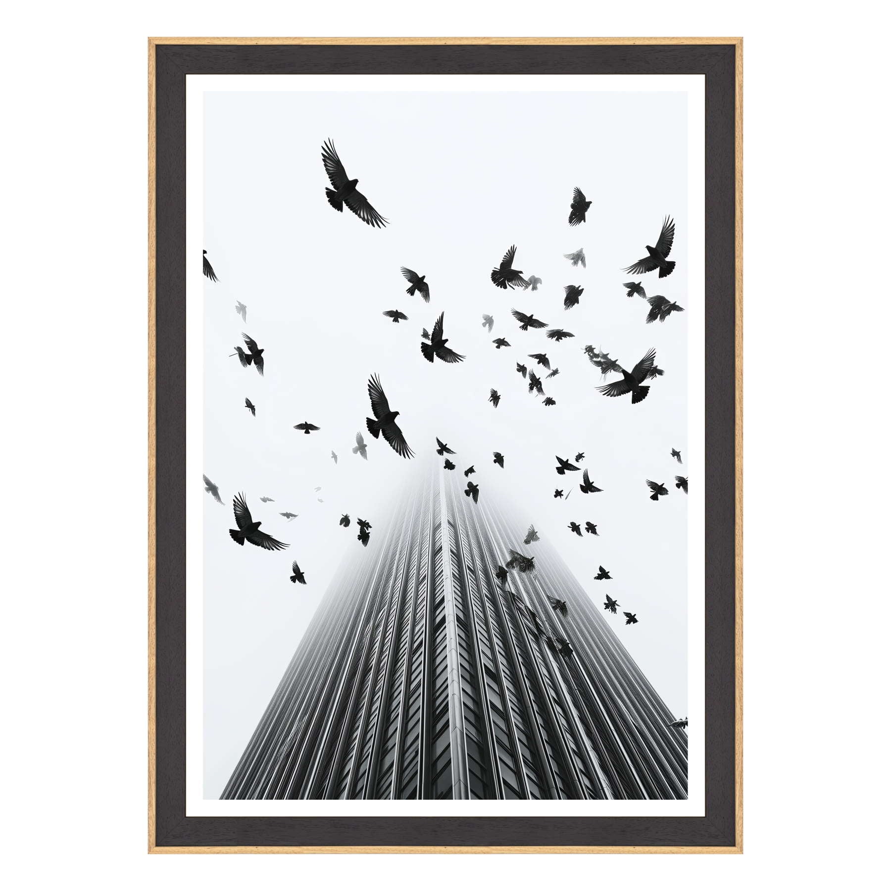 Fotografia in Bianco e Nero - In Fuga da Wall Street