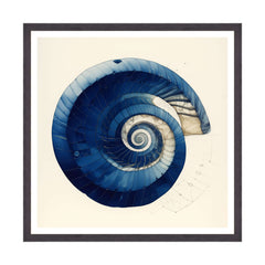 Armonia a Spirale