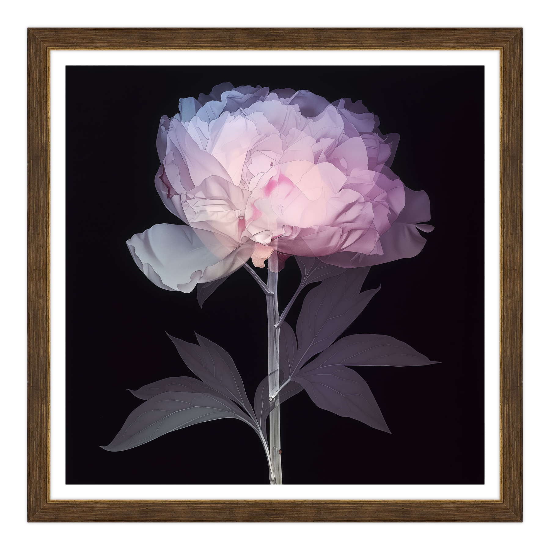 Etere Floreale