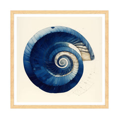 Armonia a Spirale