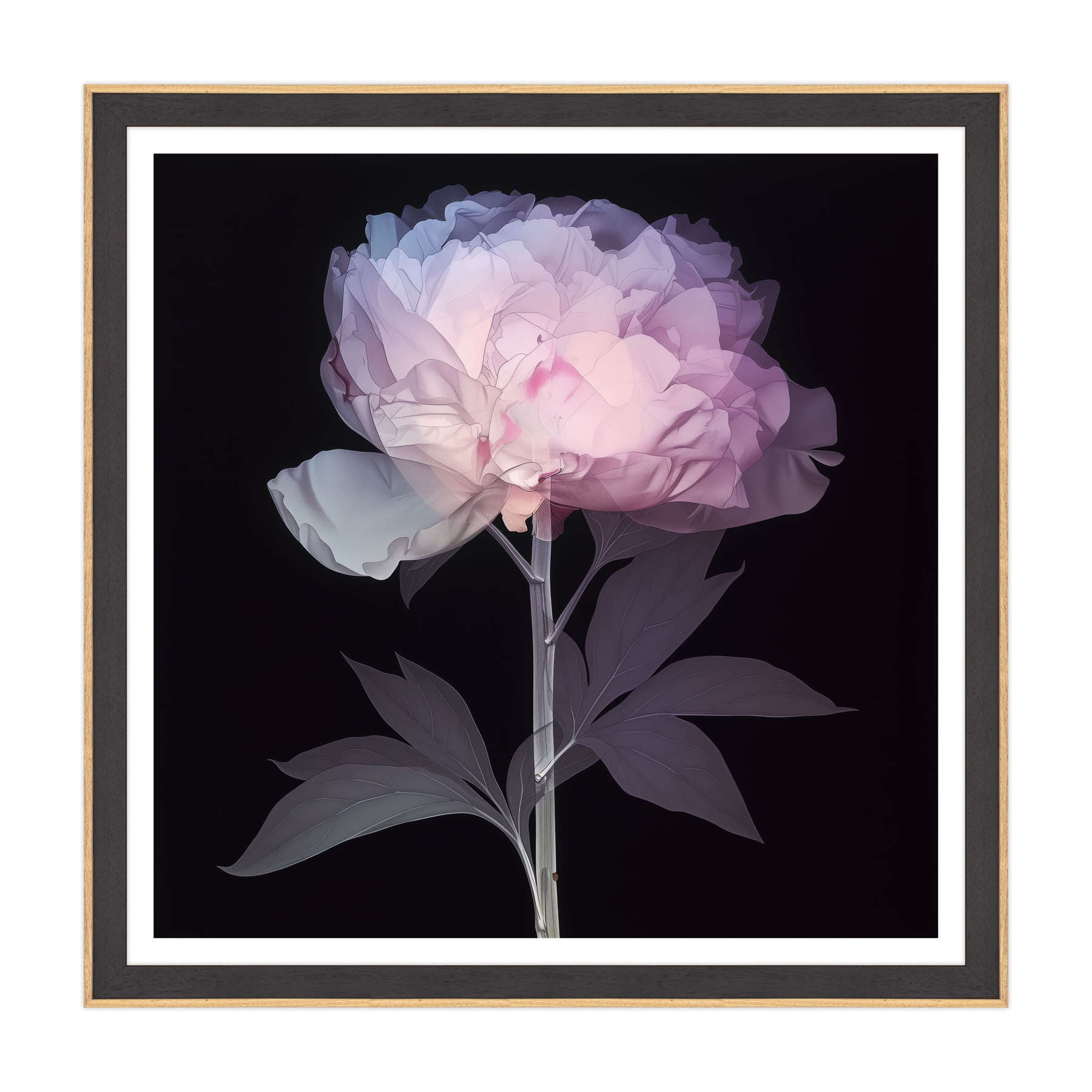 Etere Floreale