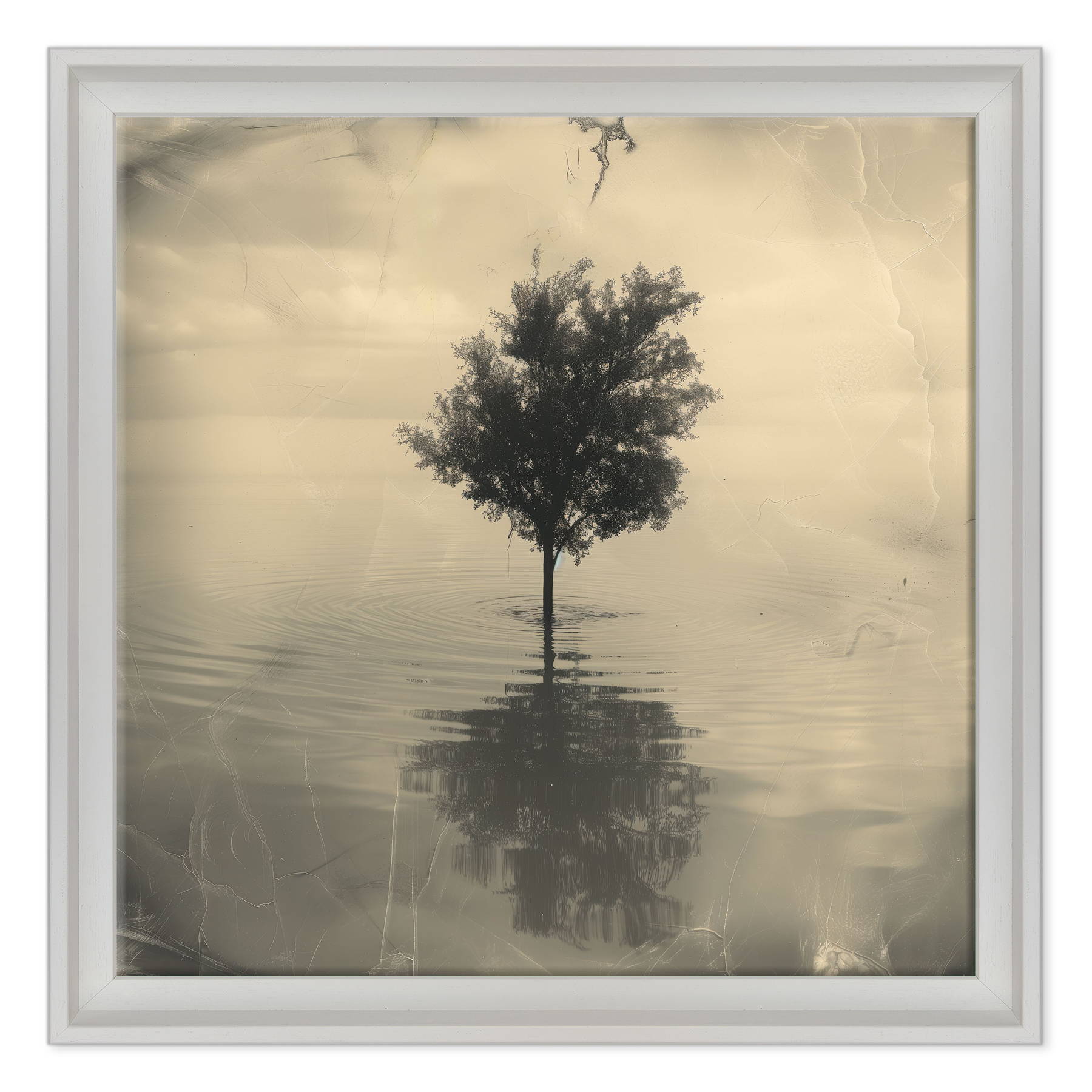 Riflessioni su un Piano Tranquillo