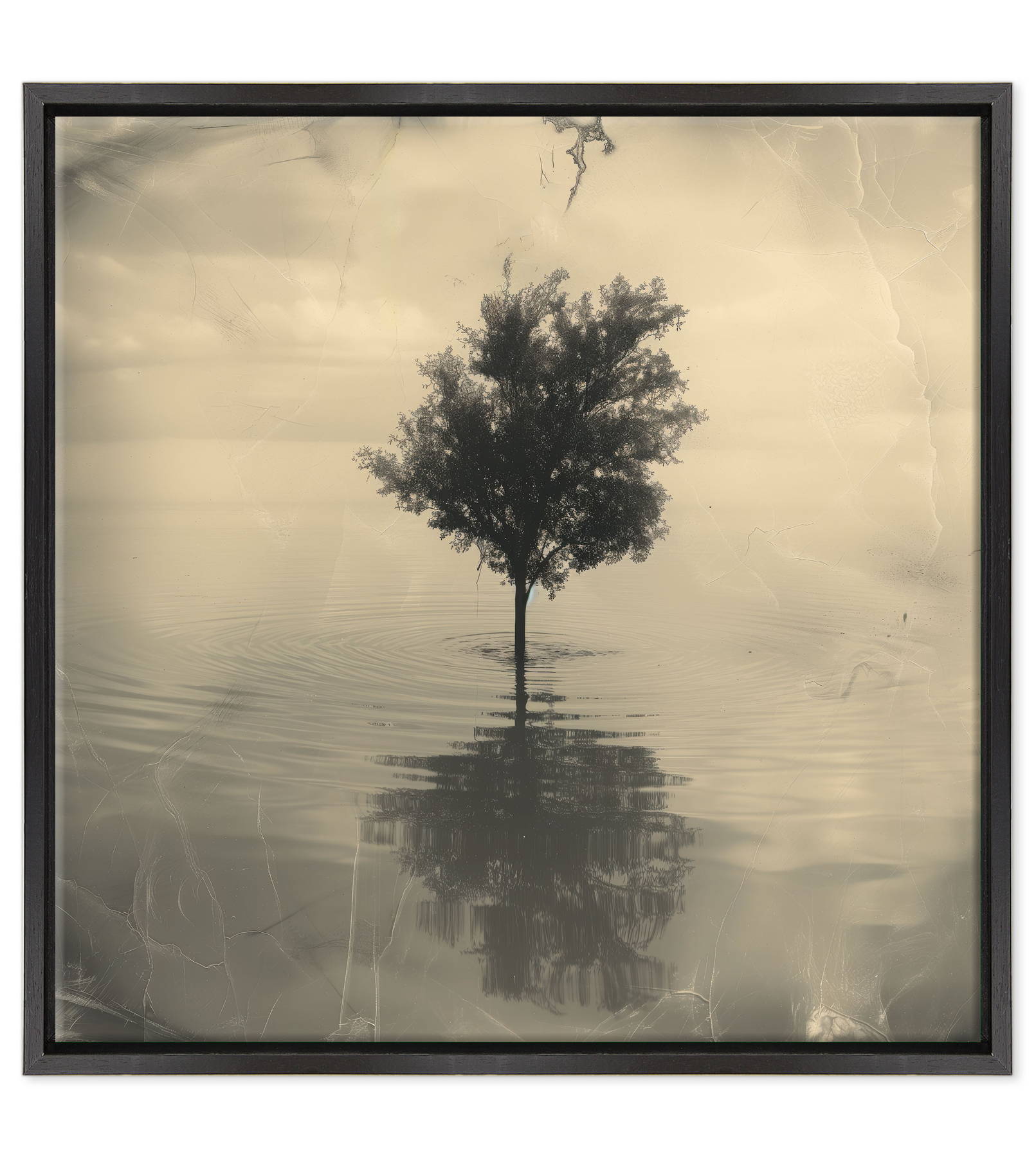 Riflessioni su un Piano Tranquillo