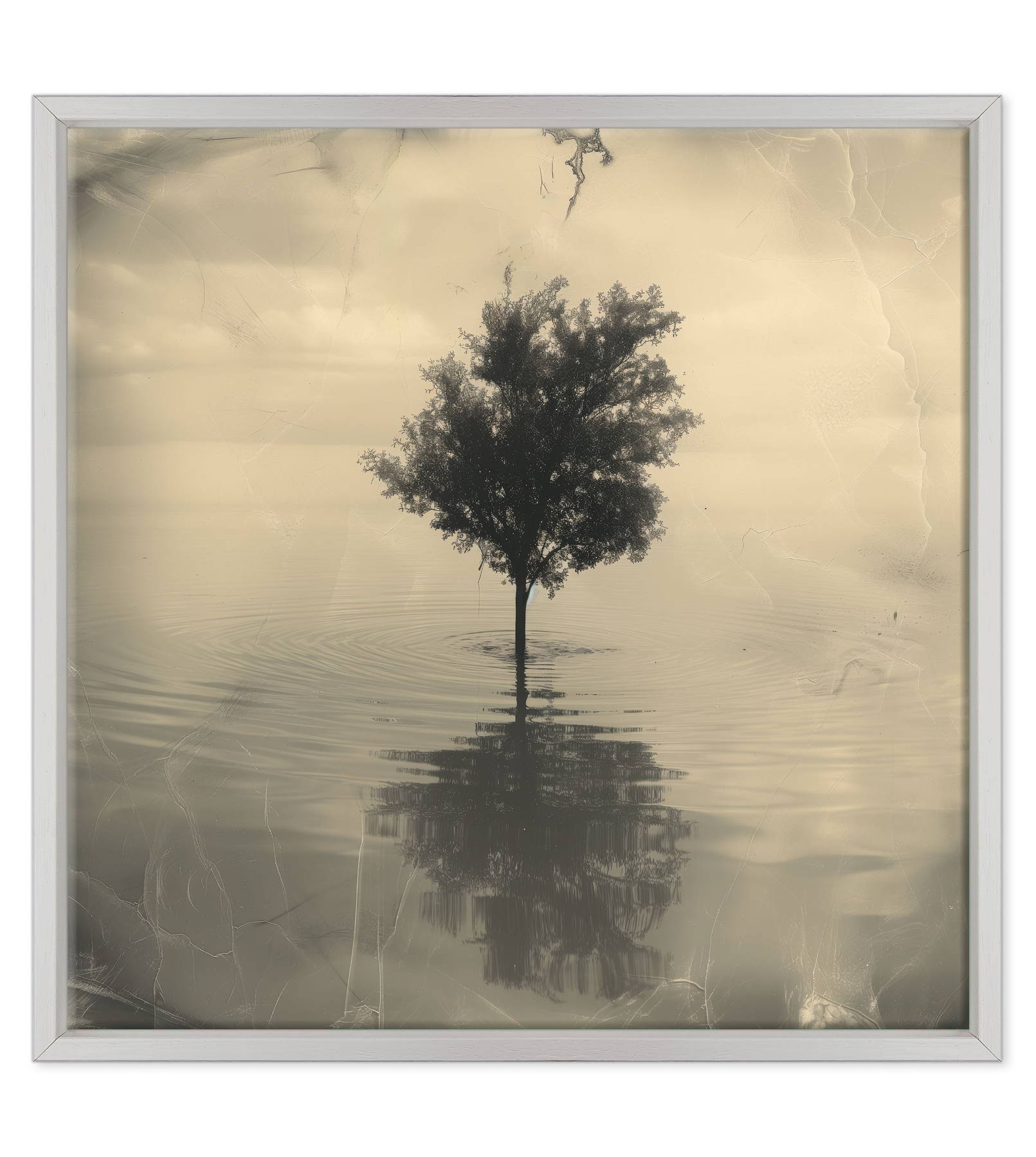 Riflessioni su un Piano Tranquillo
