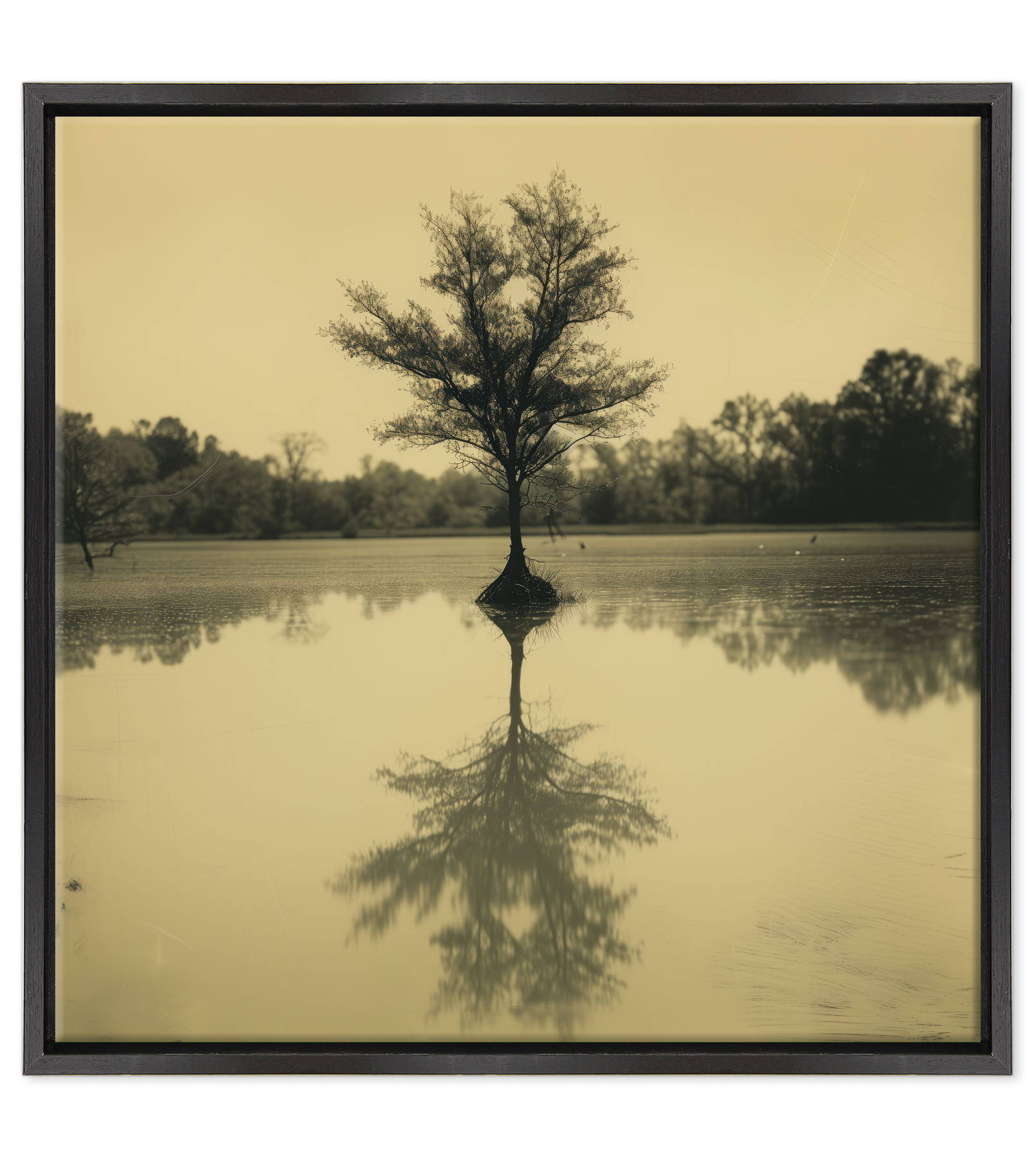 Specchio d'Acqua e Pensieri