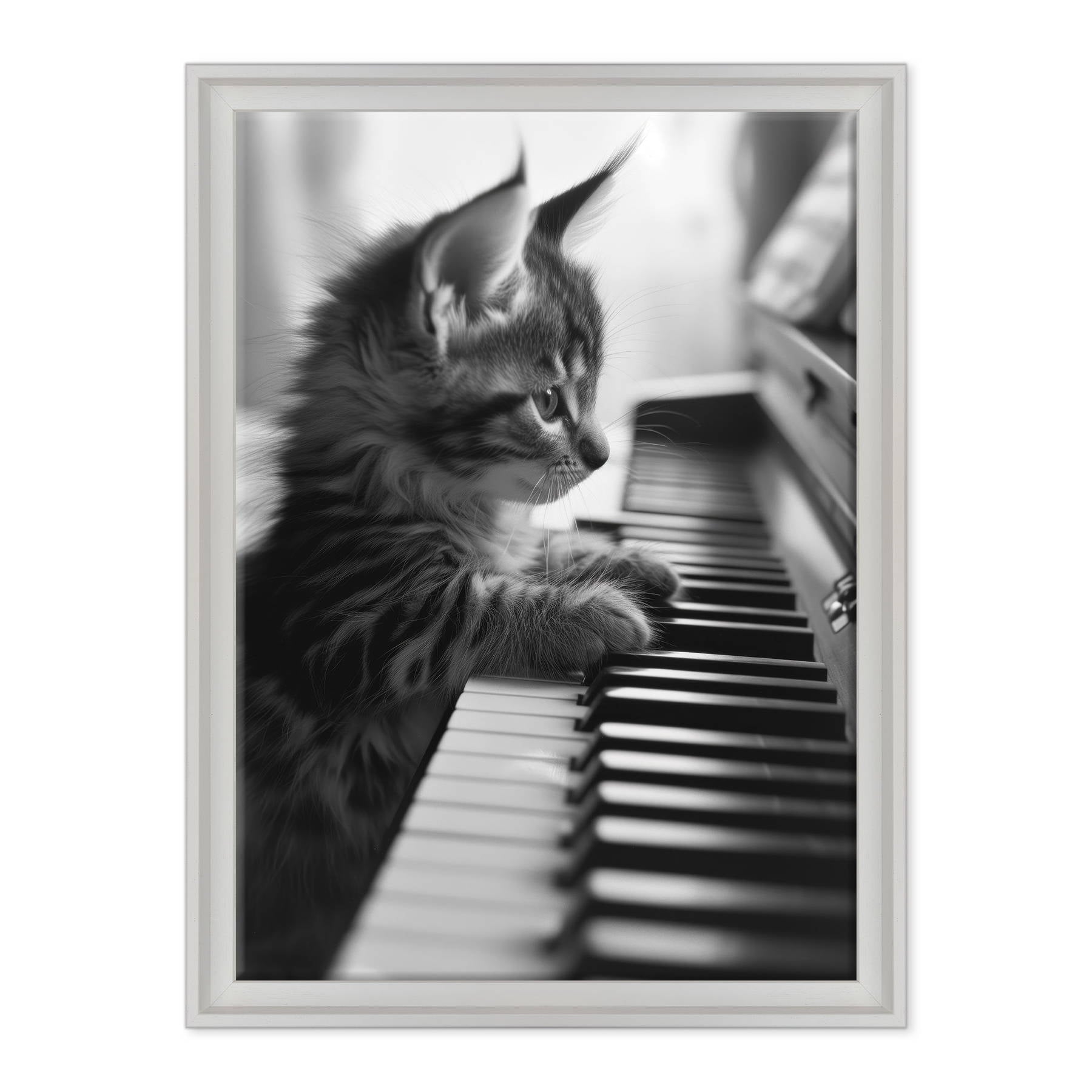 Eleganza Classica: Il Virtuoso Micio