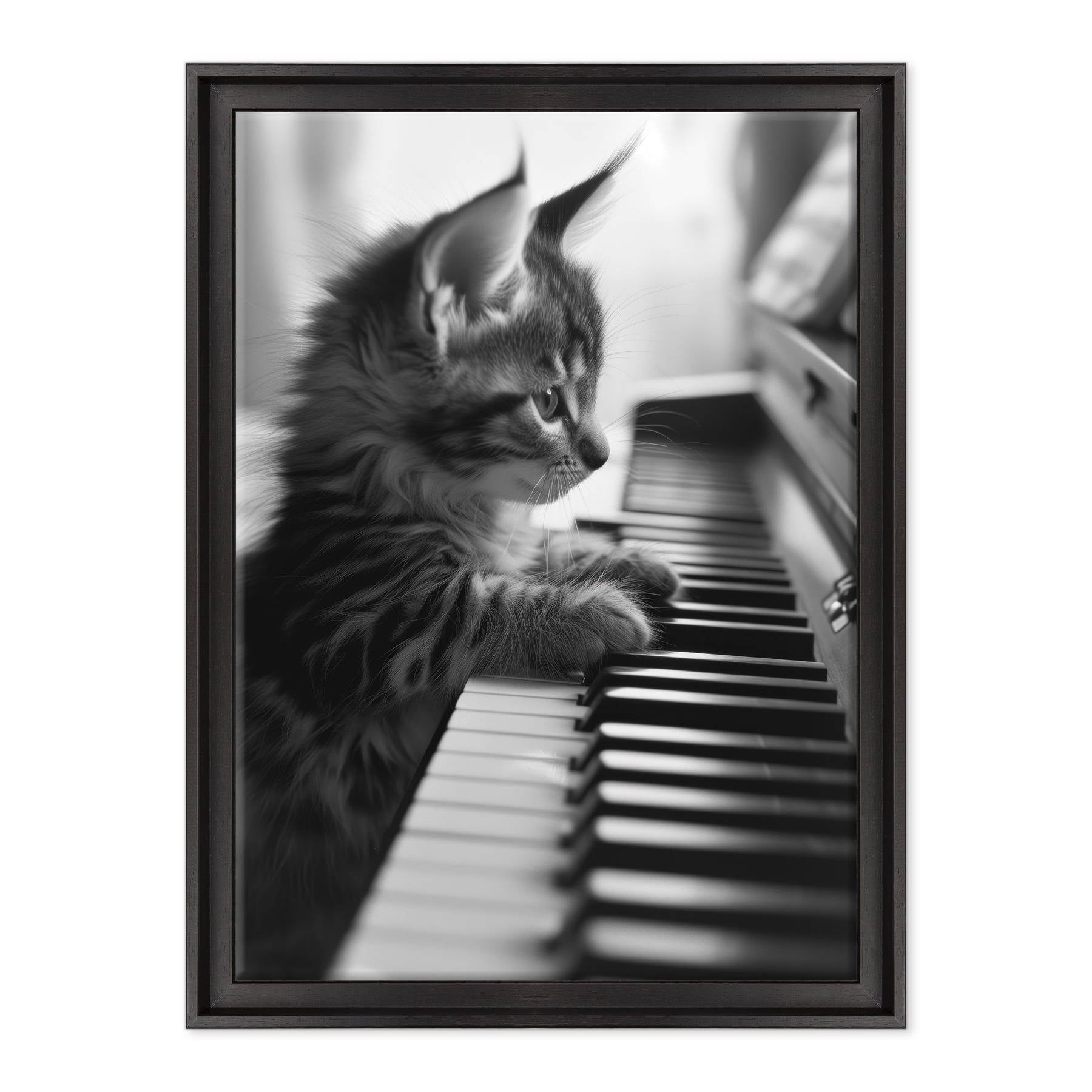 Eleganza Classica: Il Virtuoso Micio