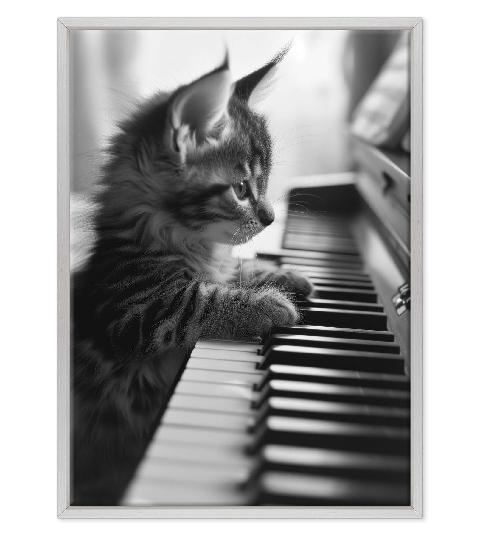 Eleganza Classica: Il Virtuoso Micio
