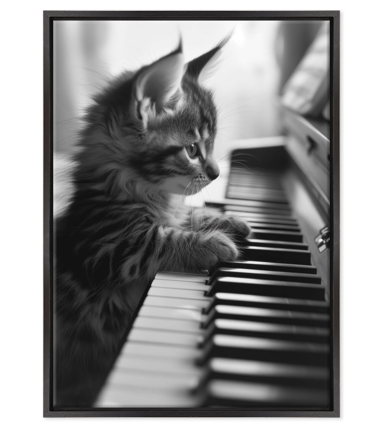 Eleganza Classica: Il Virtuoso Micio