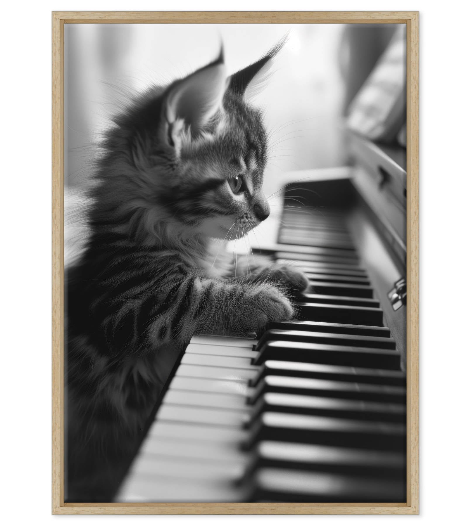 Eleganza Classica: Il Virtuoso Micio