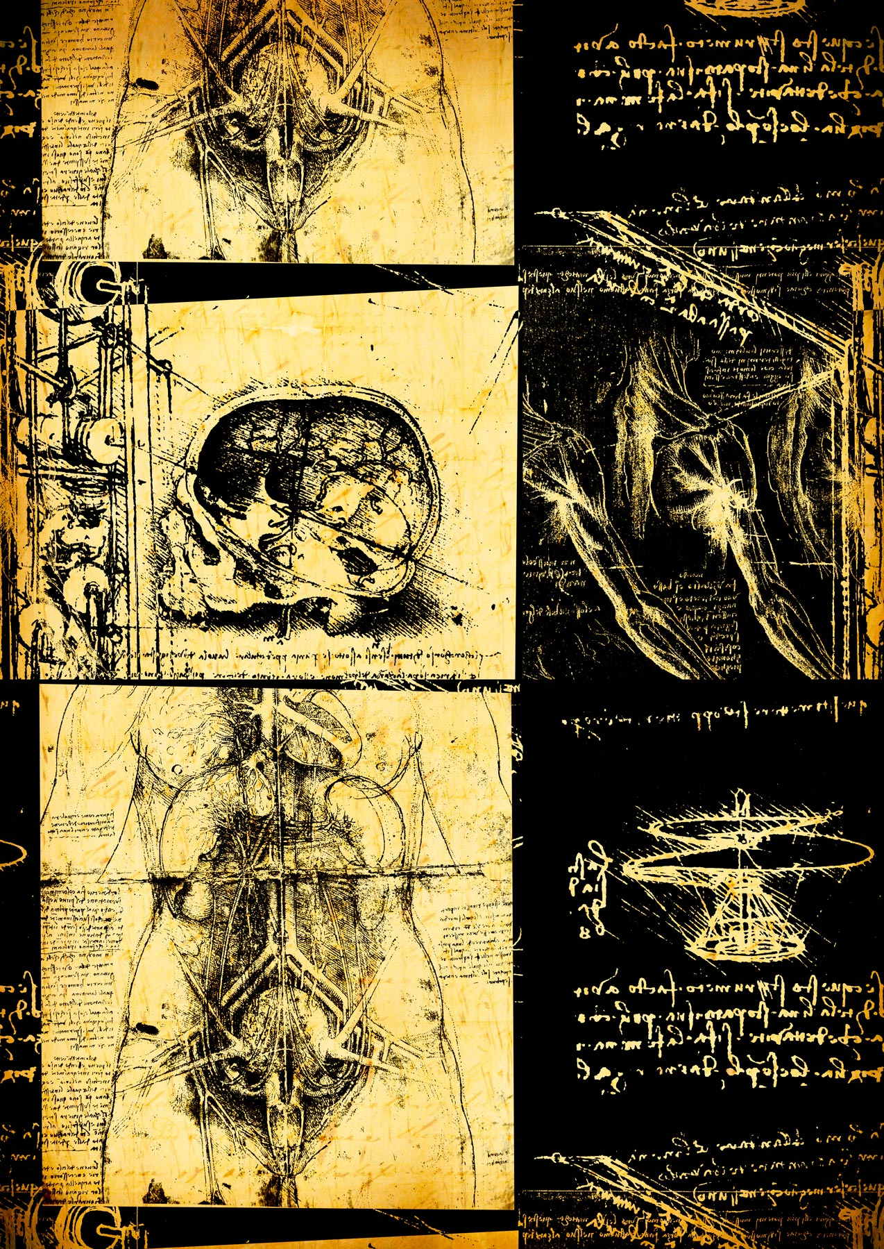 Leonardo Da Vinci - Studio di Anatomia - Medicina Chirurgia