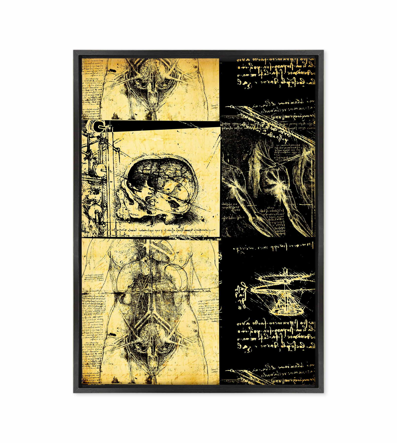 Leonardo Da Vinci - Studio di Anatomia - Medicina Chirurgia