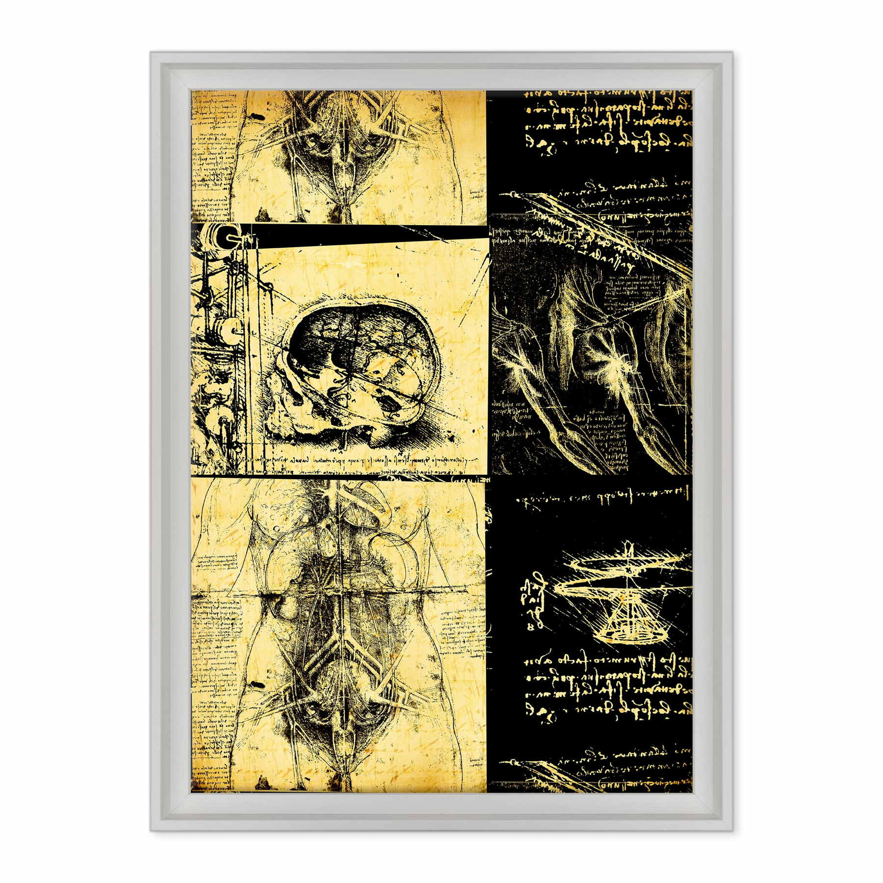 Leonardo Da Vinci - Studio di Anatomia - Medicina Chirurgia