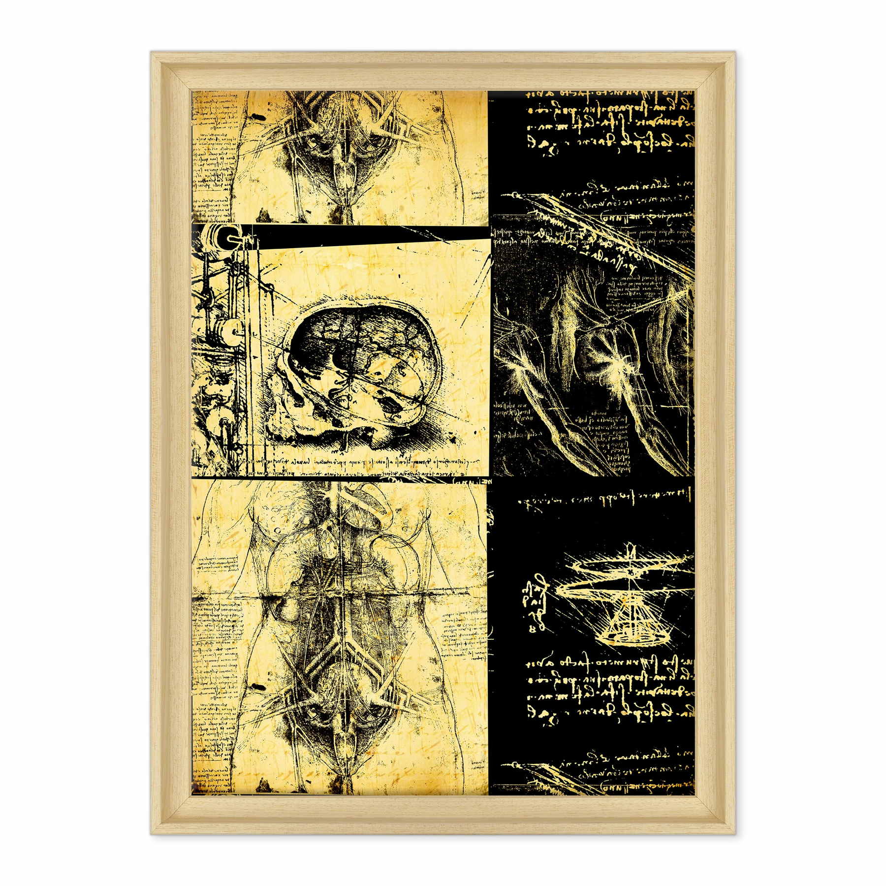 Leonardo Da Vinci - Studio di Anatomia - Medicina Chirurgia
