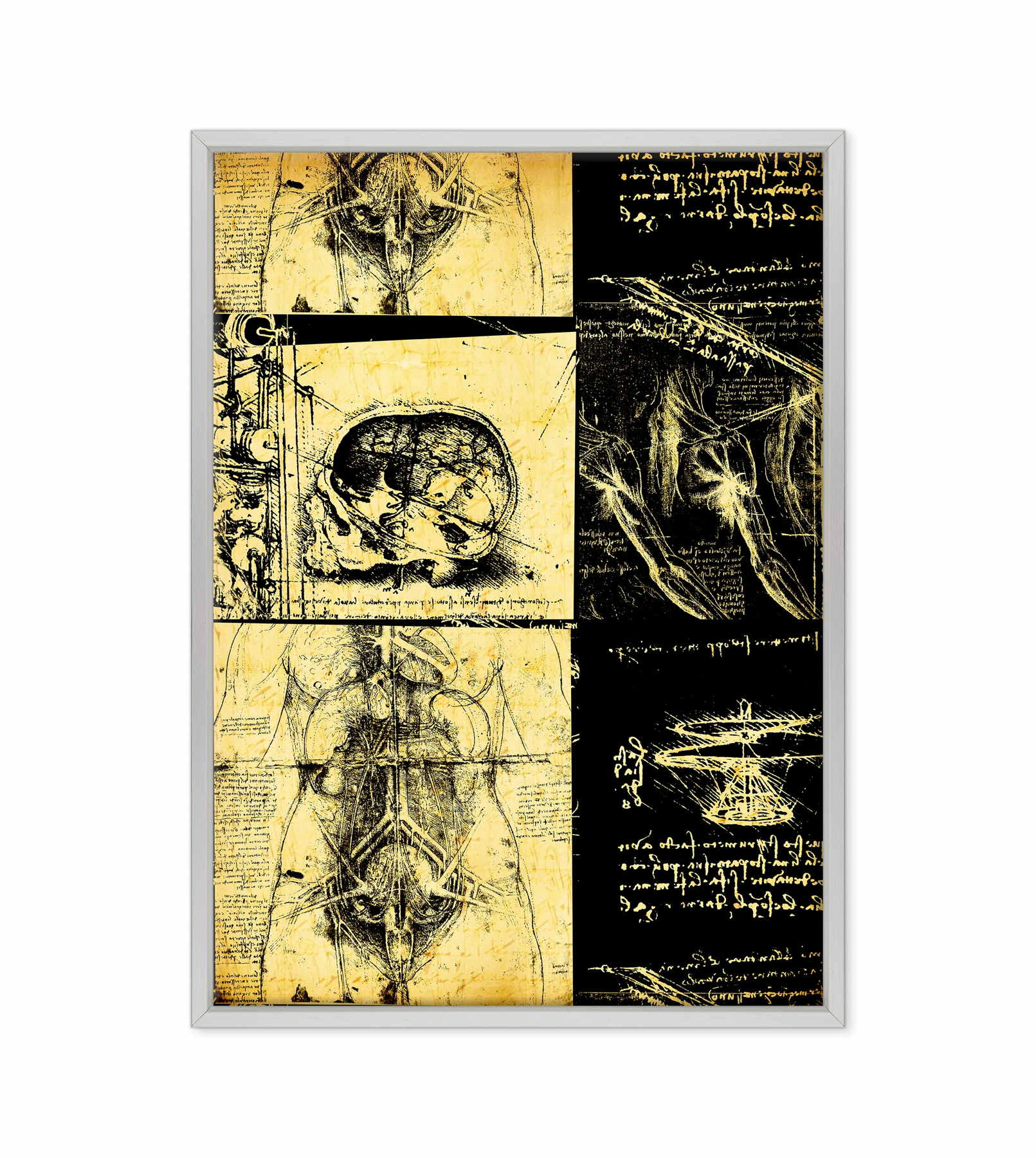 Leonardo Da Vinci - Studio di Anatomia - Medicina Chirurgia