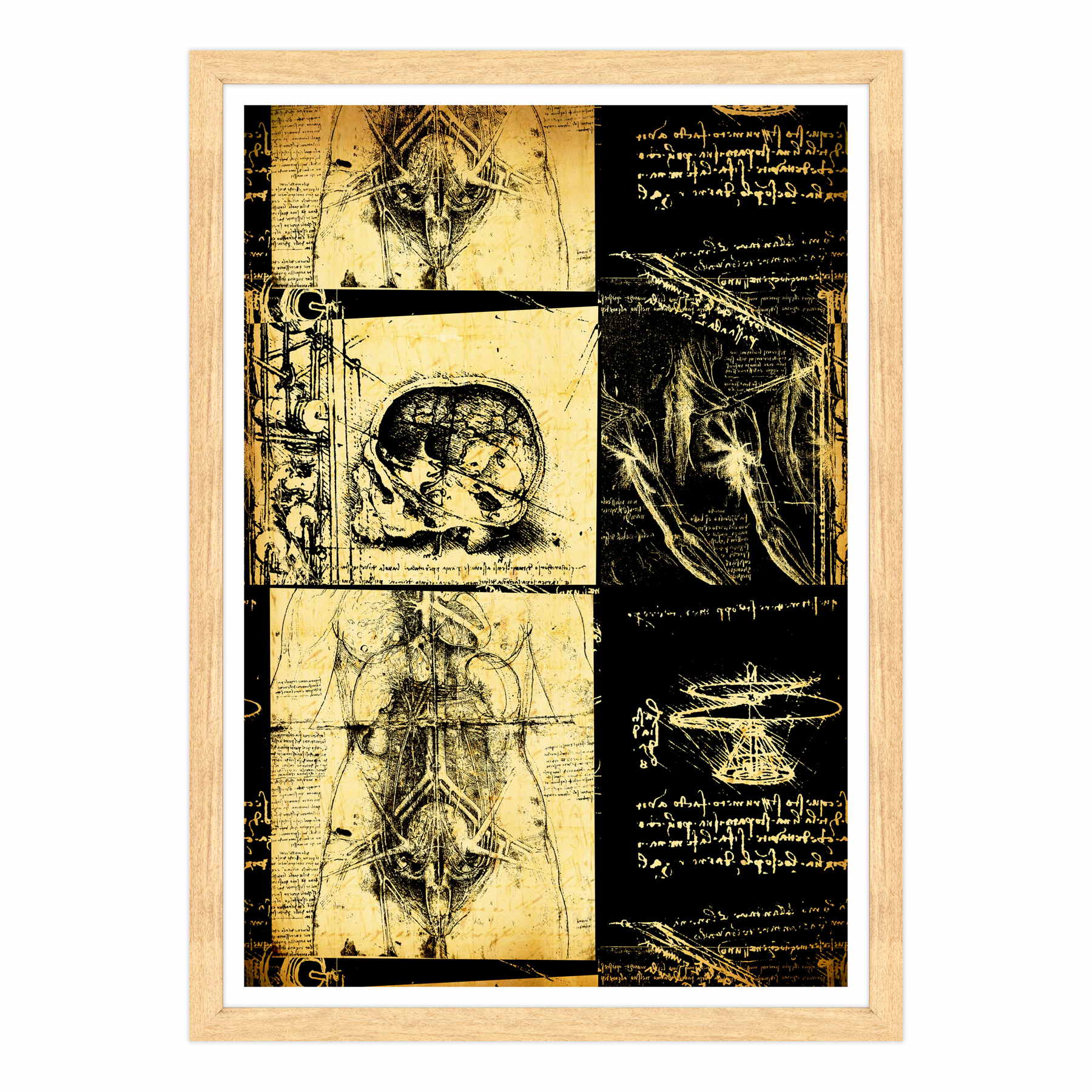Leonardo Da Vinci - Studio di Anatomia - Medicina Chirurgia