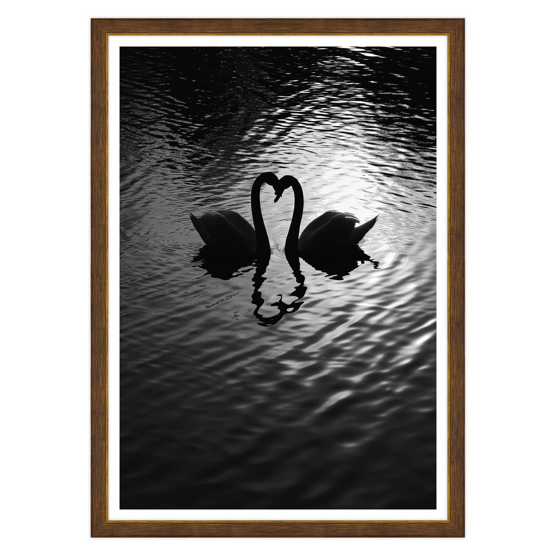 Amore Riflesso, Ballata dei Cigni