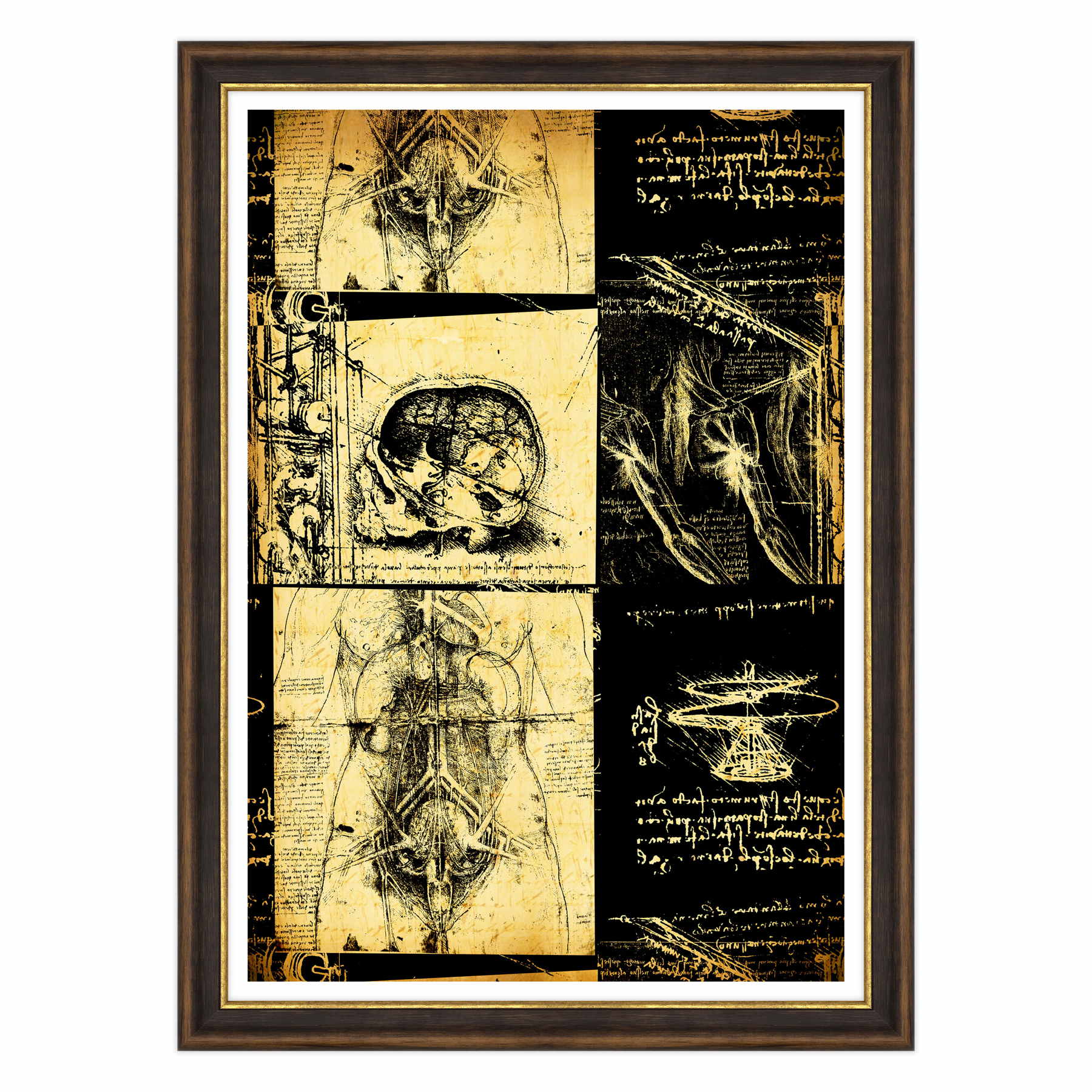 Leonardo Da Vinci - Studio di Anatomia - Medicina Chirurgia